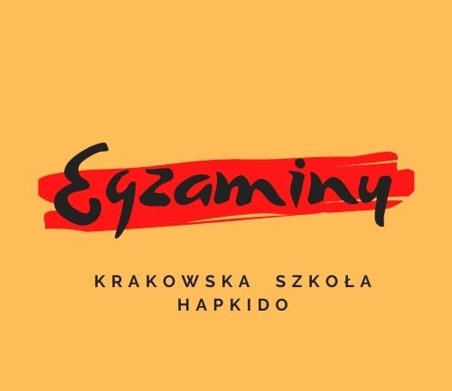 Egzaminy w Krakowskiej Szkole Hapkido.