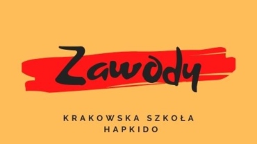 VII Mistrzostwa Krakowa Hapkido, podsumowanie.