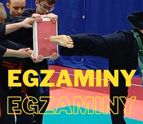 Egzaminy grudzień 2024.