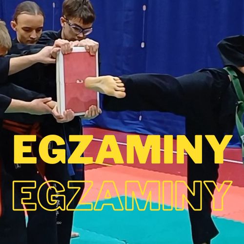 Egzaminy grudzień 2024.