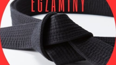 Egzaminy w Polskiej Organizacji Hapkido