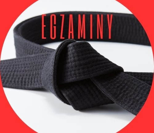 Egzaminy na stopnie – zmiany w grafiku zajęć 24-28 listopada.